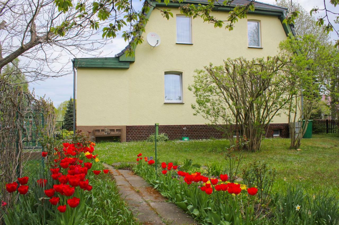 Zum Dorfschullehrer Apartment Luebbenau Exterior photo